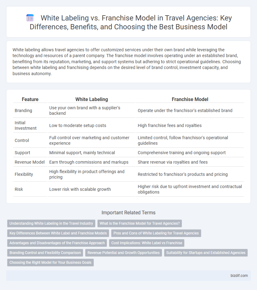 White Labeling vs. Franchise Model in Travel Agencies: Key Differences, Benefits, and Choosing the Best Business Model