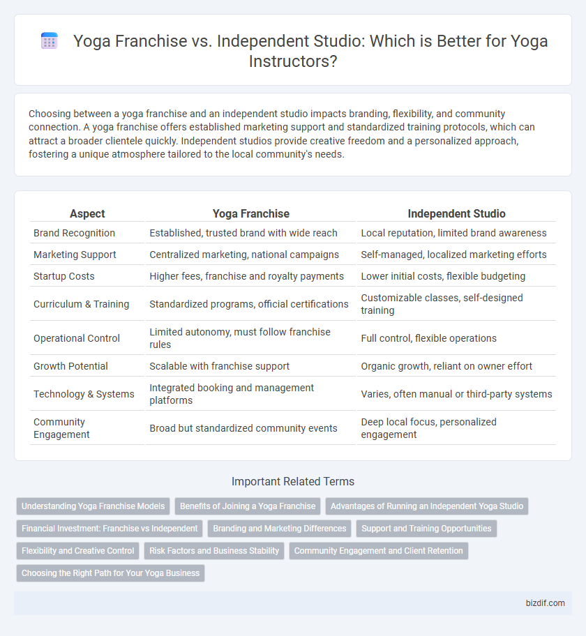 Yoga Franchise vs. Independent Studio: Which is Better for Yoga Instructors?