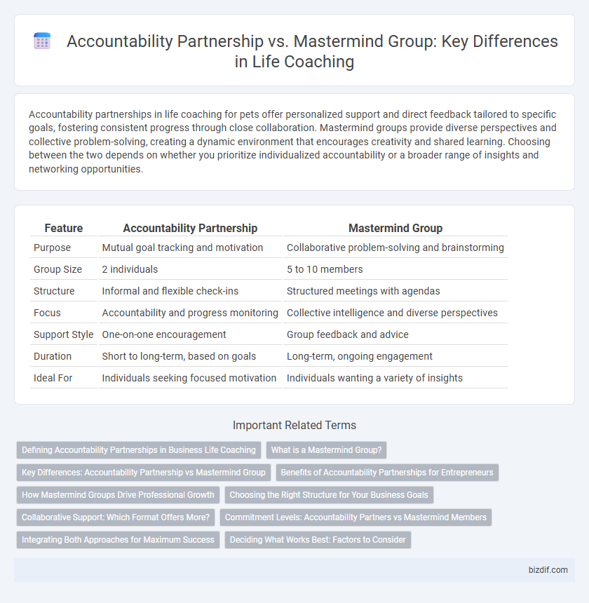 Accountability Partnership vs. Mastermind Group: Key Differences in Life Coaching