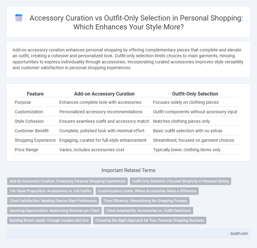 Accessory Curation vs Outfit-Only Selection in Personal Shopping: Which Enhances Your Style More?