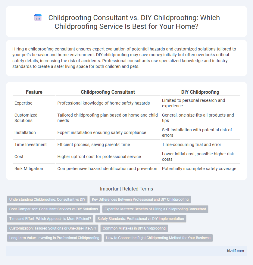 Childproofing Consultant vs. DIY Childproofing: Which Childproofing Service Is Best for Your Home?