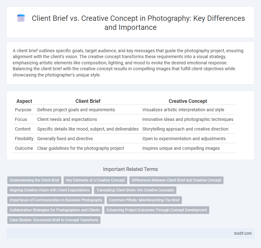 Client Brief vs. Creative Concept in Photography: Key Differences and Importance
