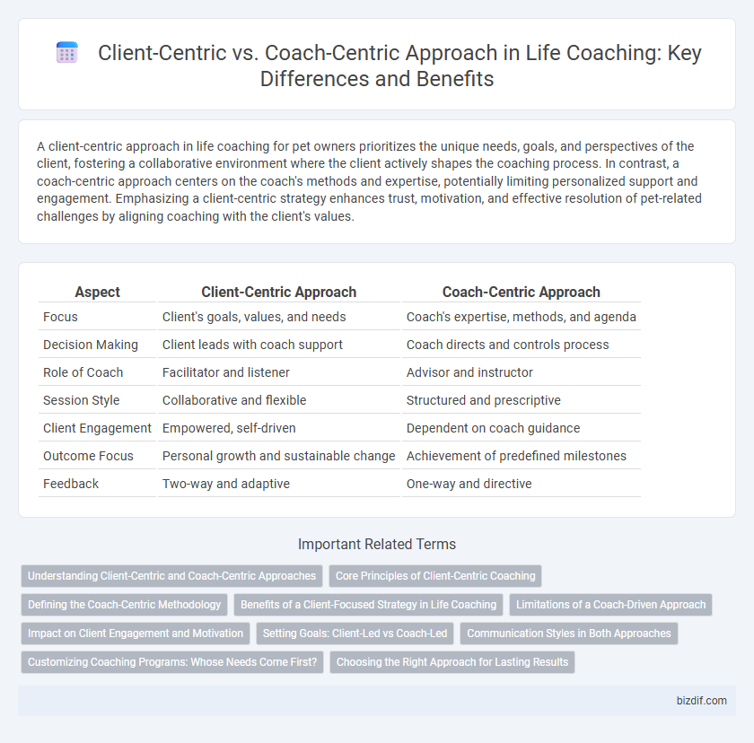 Client-Centric vs. Coach-Centric Approach in Life Coaching: Key Differences and Benefits