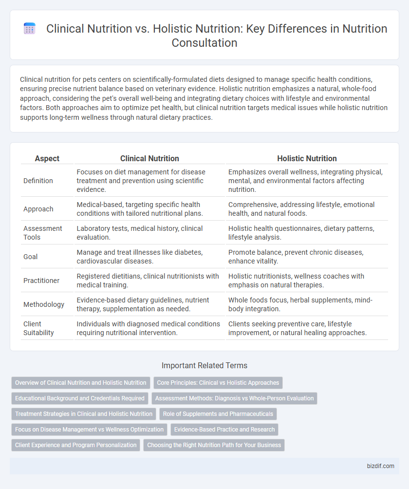 Clinical Nutrition vs. Holistic Nutrition: Key Differences in Nutrition Consultation