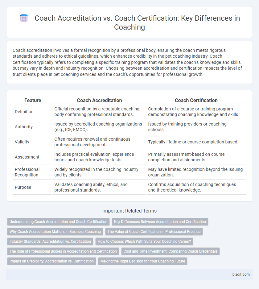 Coach Accreditation vs. Coach Certification: Key Differences in Coaching