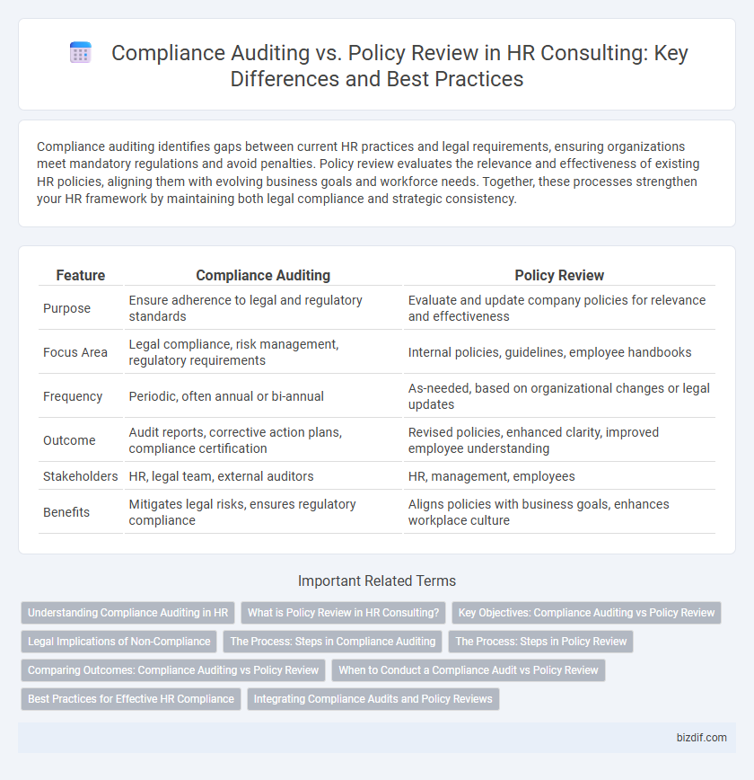 Compliance Auditing vs. Policy Review in HR Consulting: Key Differences and Best Practices