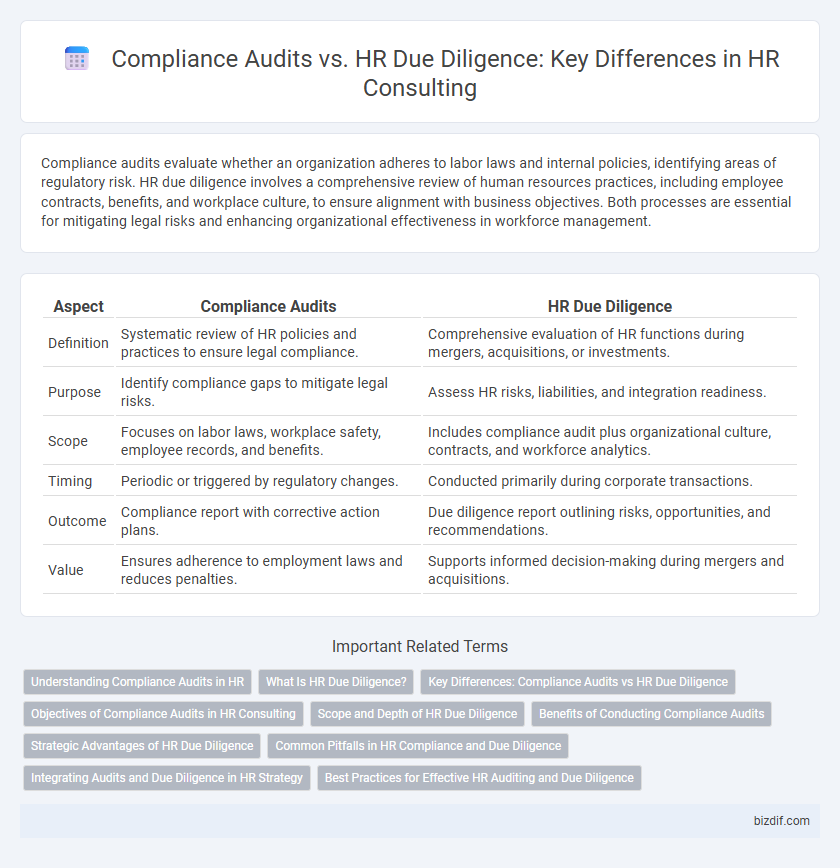 Compliance Audits vs. HR Due Diligence: Key Differences in HR Consulting