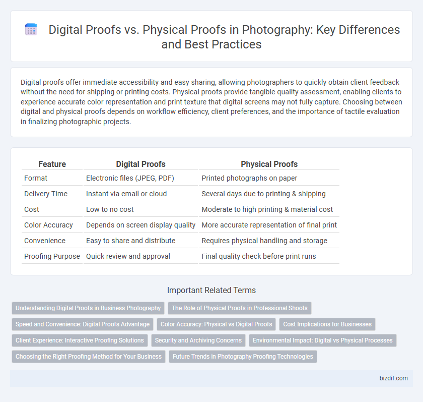 Digital Proofs vs. Physical Proofs in Photography: Key Differences and Best Practices