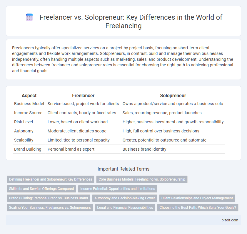 Freelancer vs. Solopreneur: Key Differences in the World of Freelancing