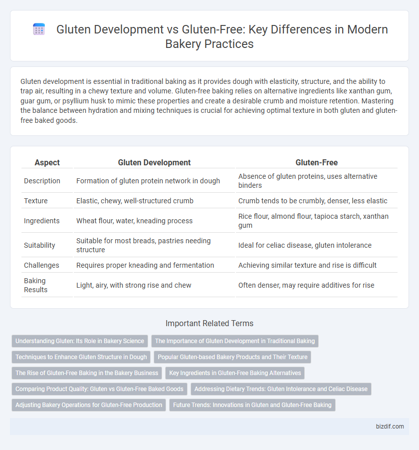 Gluten Development vs Gluten-Free: Key Differences in Modern Bakery Practices