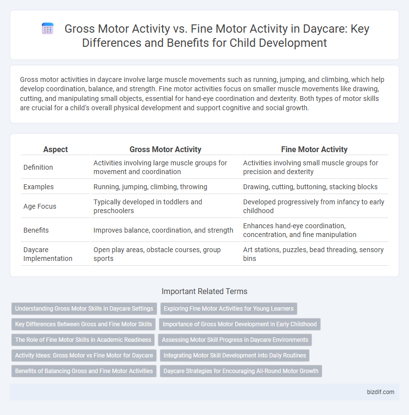 Gross Motor Activity vs. Fine Motor Activity in Daycare: Key Differences and Benefits for Child Development