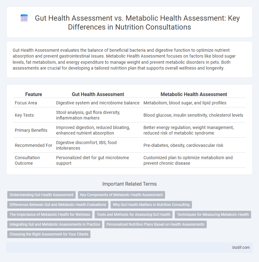 Gut Health Assessment vs. Metabolic Health Assessment: Key Differences in Nutrition Consultations