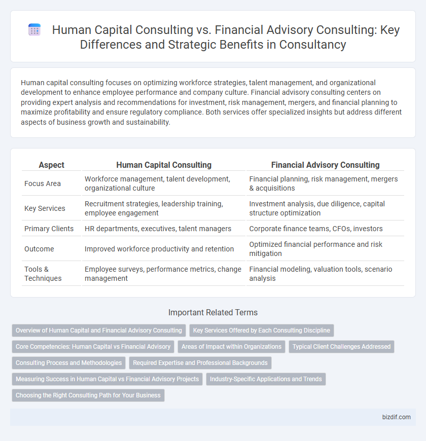 Human Capital Consulting vs. Financial Advisory Consulting: Key Differences and Strategic Benefits in Consultancy