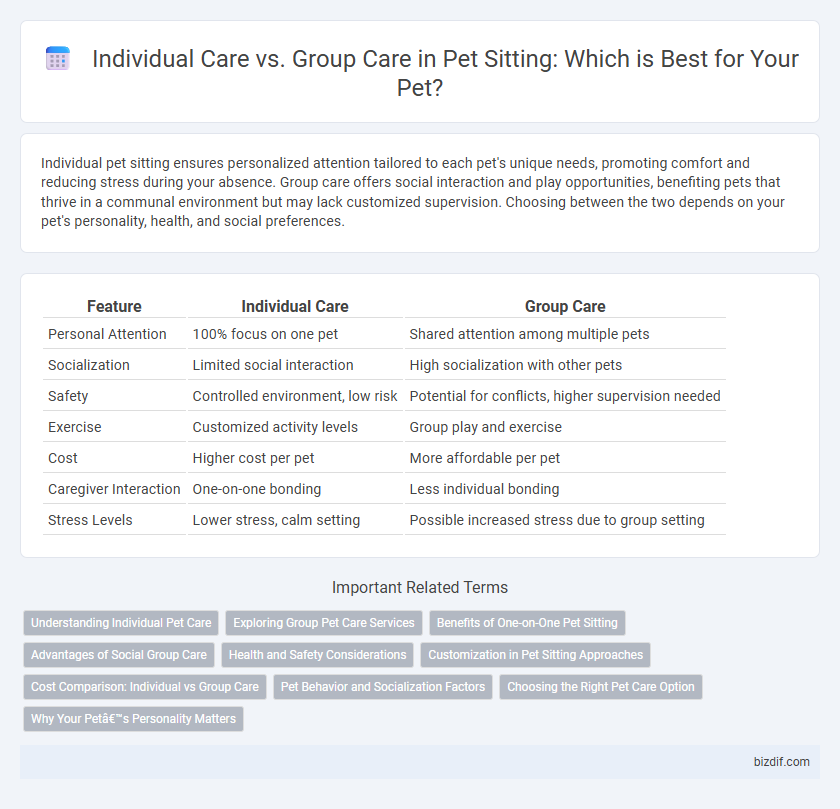 Individual Care vs. Group Care in Pet Sitting: Which is Best for Your Pet?