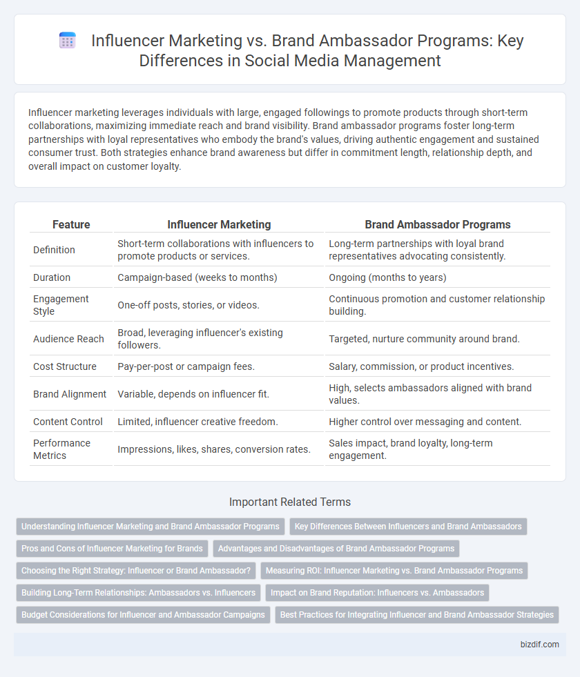 Influencer Marketing vs. Brand Ambassador Programs: Key Differences in Social Media Management