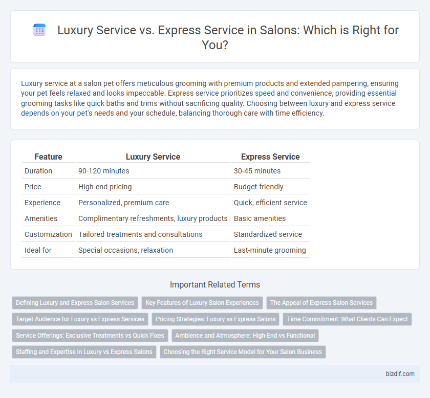Luxury Service vs. Express Service in Salons: Which is Right for You?