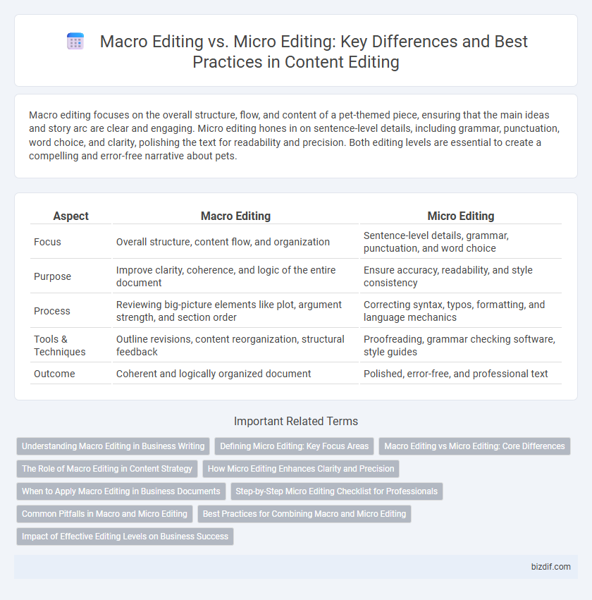Macro Editing vs. Micro Editing: Key Differences and Best Practices in Content Editing