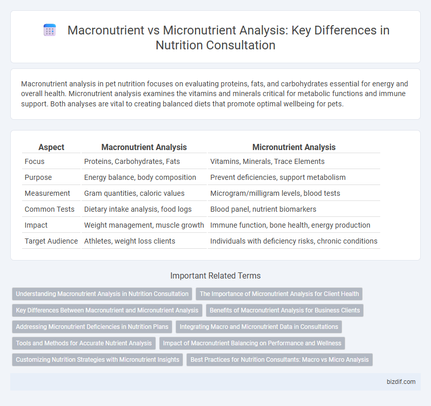 Macronutrient vs Micronutrient Analysis: Key Differences in Nutrition Consultation