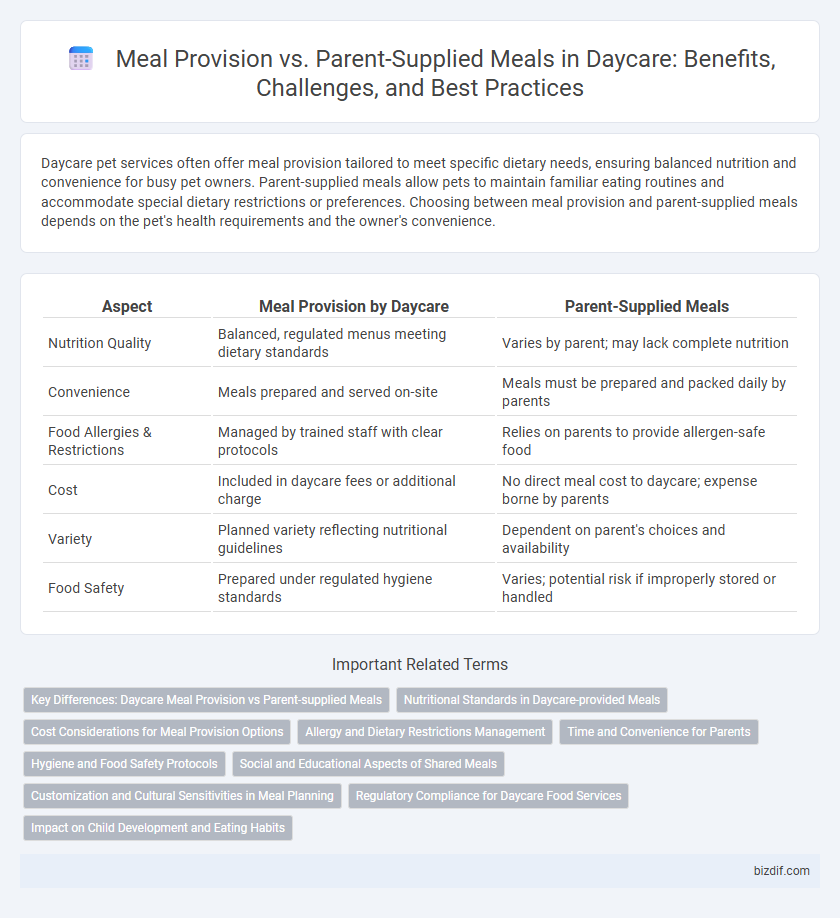 Meal Provision vs. Parent-Supplied Meals in Daycare: Benefits, Challenges, and Best Practices