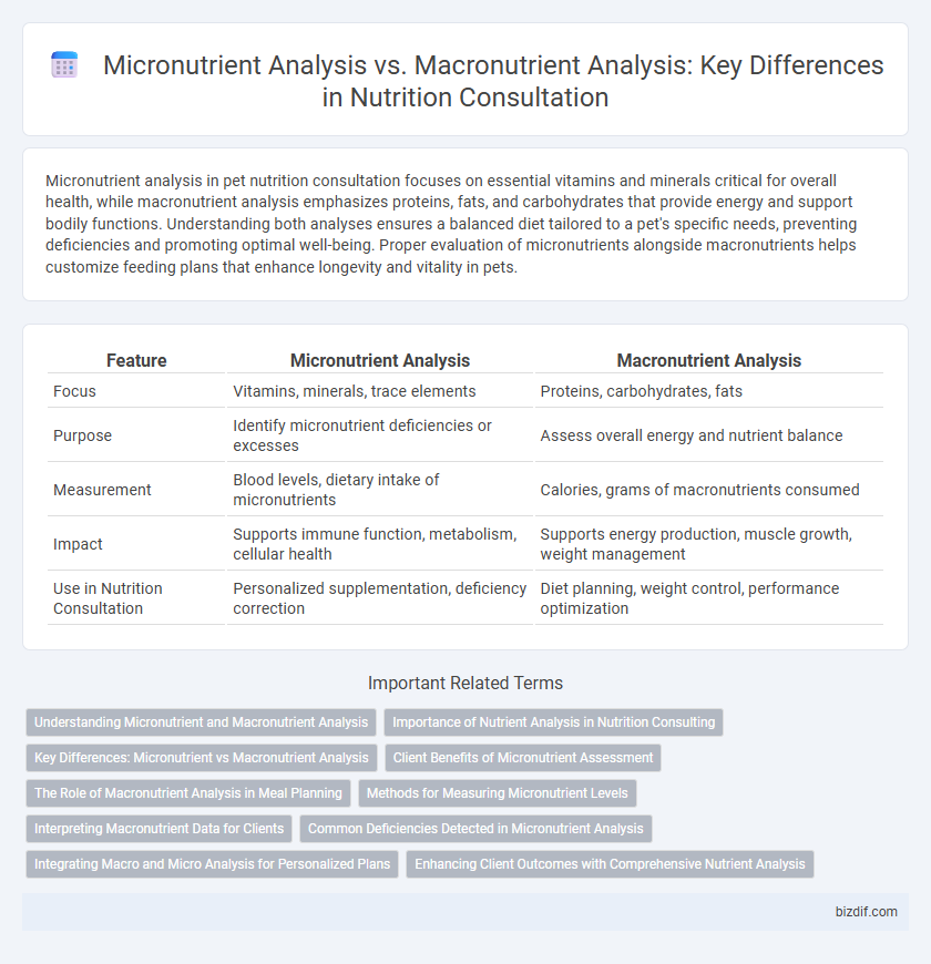 Micronutrient Analysis vs. Macronutrient Analysis: Key Differences in Nutrition Consultation