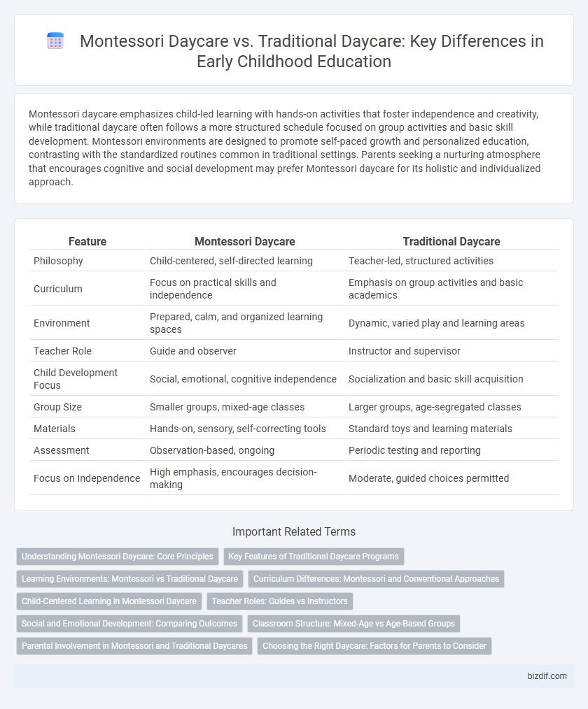 Montessori Daycare vs. Traditional Daycare: Key Differences in Early Childhood Education