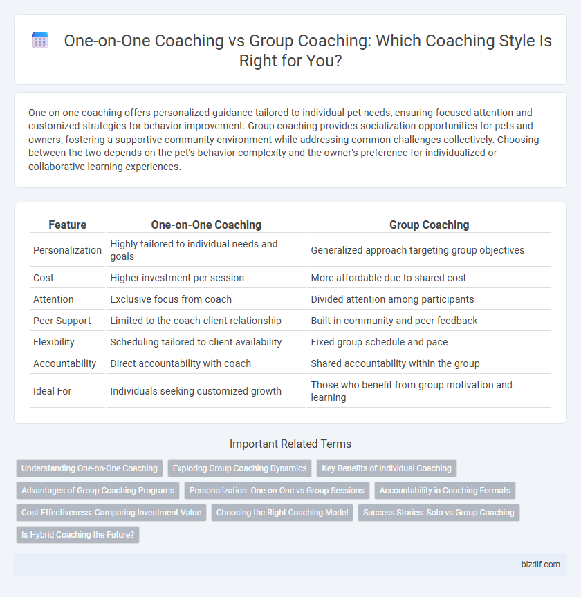 One-on-One Coaching vs Group Coaching: Which Coaching Style Is Right for You?