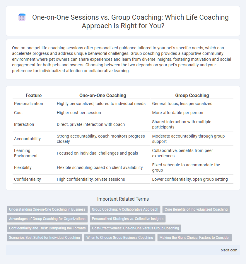 One-on-One Sessions vs. Group Coaching: Which Life Coaching Approach is Right for You?
