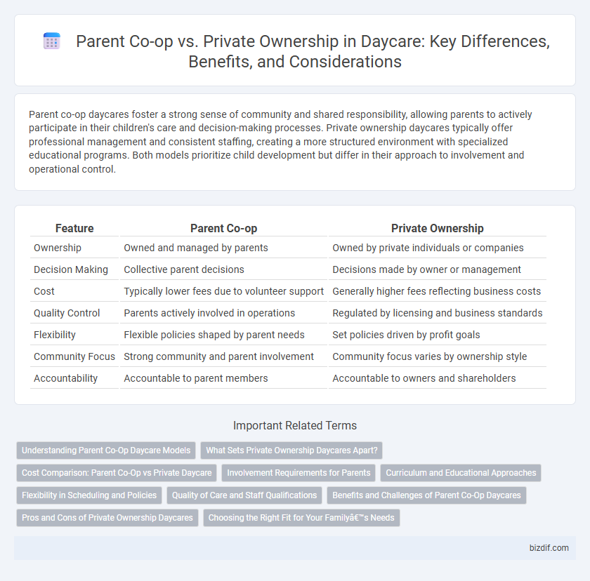 Parent Co-op vs. Private Ownership in Daycare: Key Differences, Benefits, and Considerations