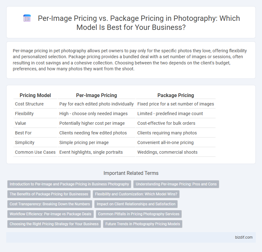 Per-Image Pricing vs. Package Pricing in Photography: Which Model Is Best for Your Business?