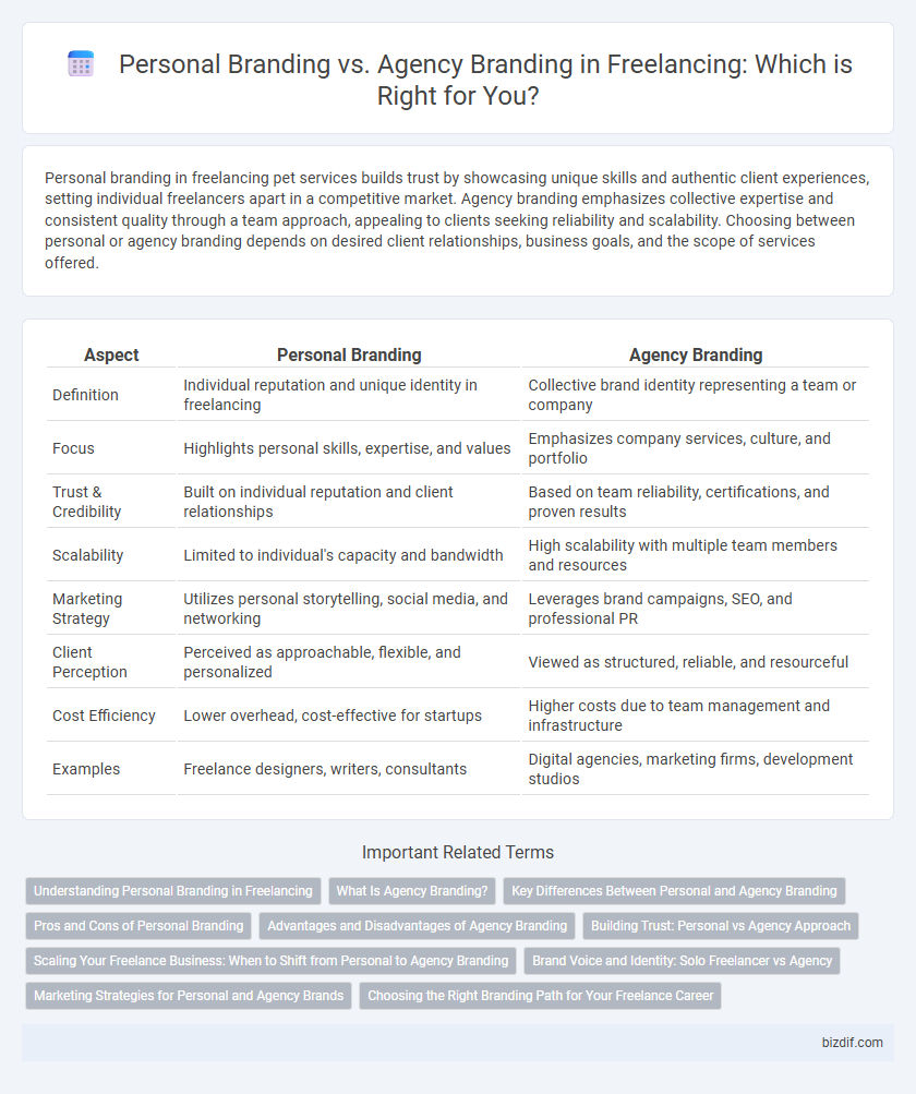 Personal Branding vs. Agency Branding in Freelancing: Which is Right for You?
