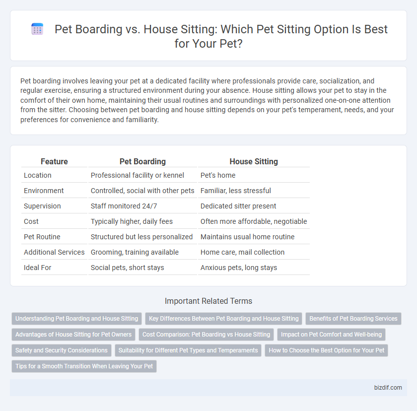 Pet Boarding vs. House Sitting: Which Pet Sitting Option Is Best for Your Pet?