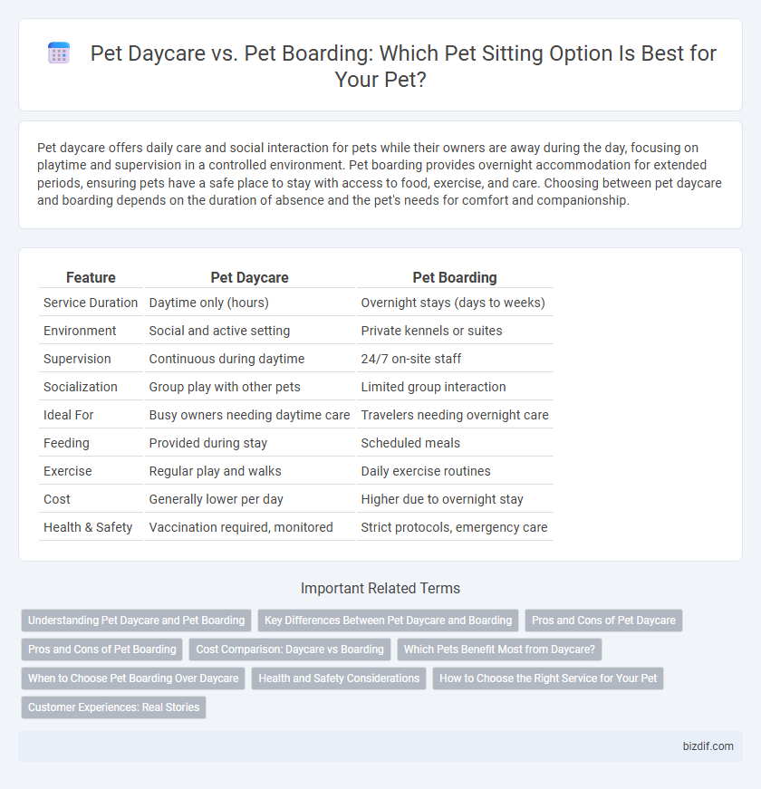 Pet Daycare vs. Pet Boarding: Which Pet Sitting Option Is Best for Your Pet?