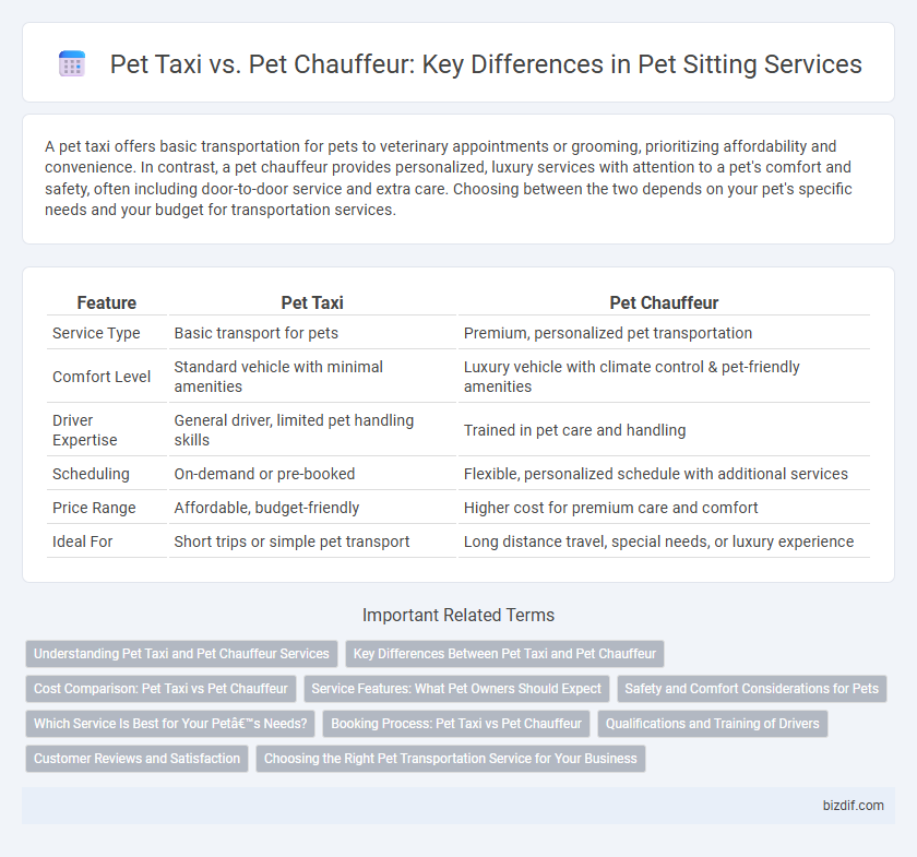 Pet Taxi vs. Pet Chauffeur: Key Differences in Pet Sitting Services