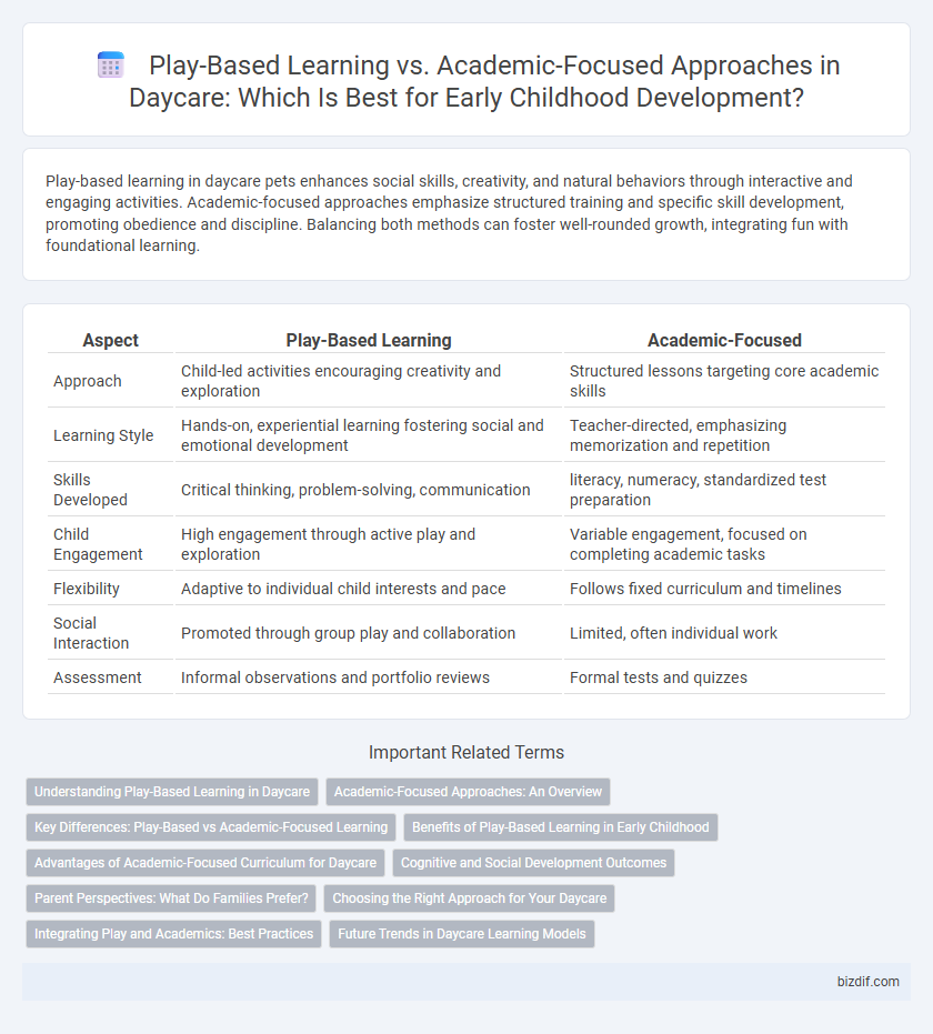 Play-Based Learning vs. Academic-Focused Approaches in Daycare: Which Is Best for Early Childhood Development?