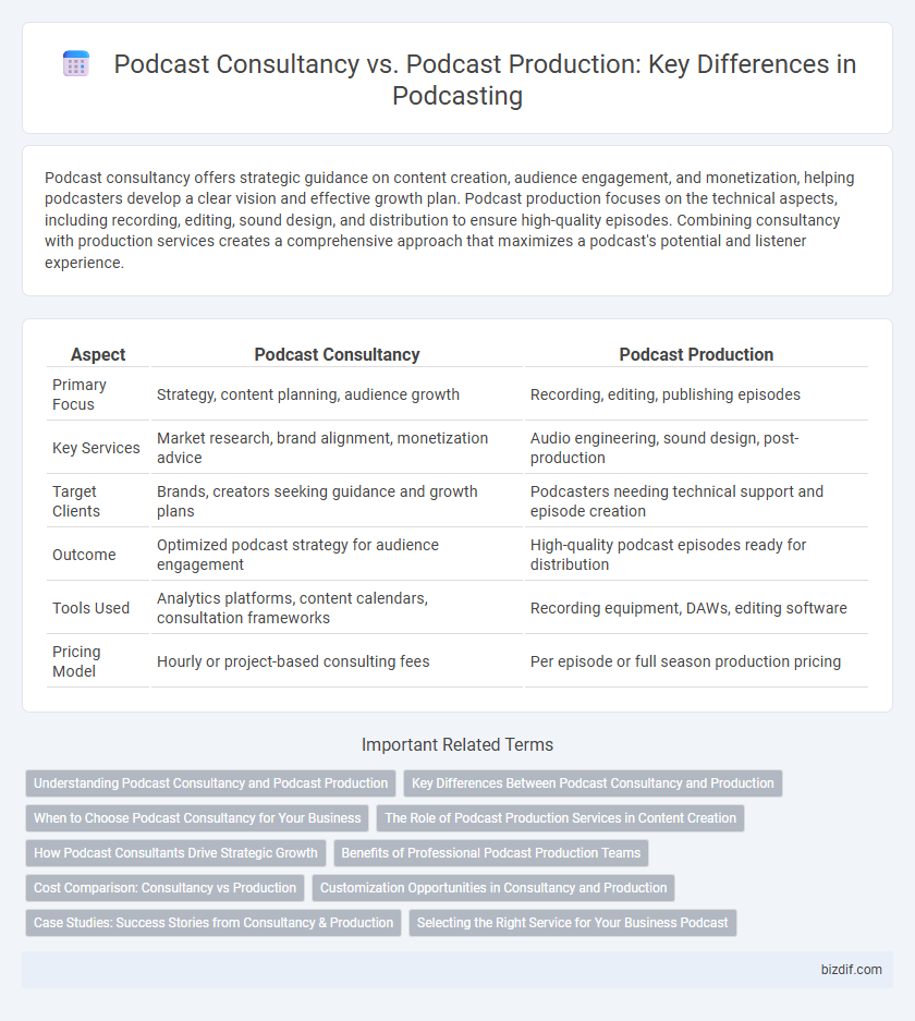Podcast Consultancy vs. Podcast Production: Key Differences in Podcasting