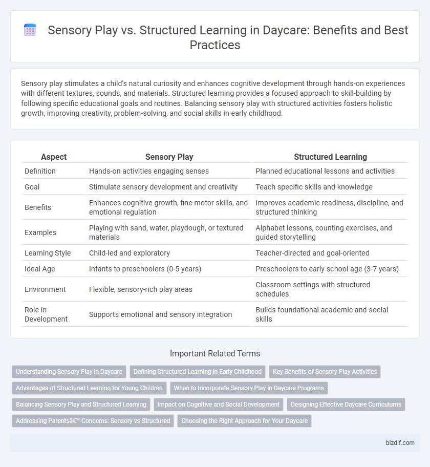 Sensory Play vs. Structured Learning in Daycare: Benefits and Best Practices