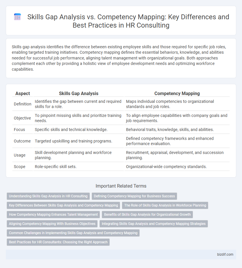 Skills Gap Analysis vs. Competency Mapping: Key Differences and Best Practices in HR Consulting