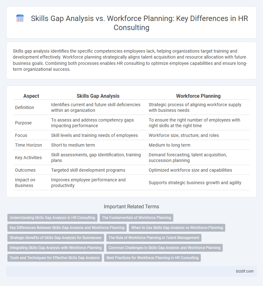 Skills Gap Analysis vs. Workforce Planning: Key Differences in HR Consulting
