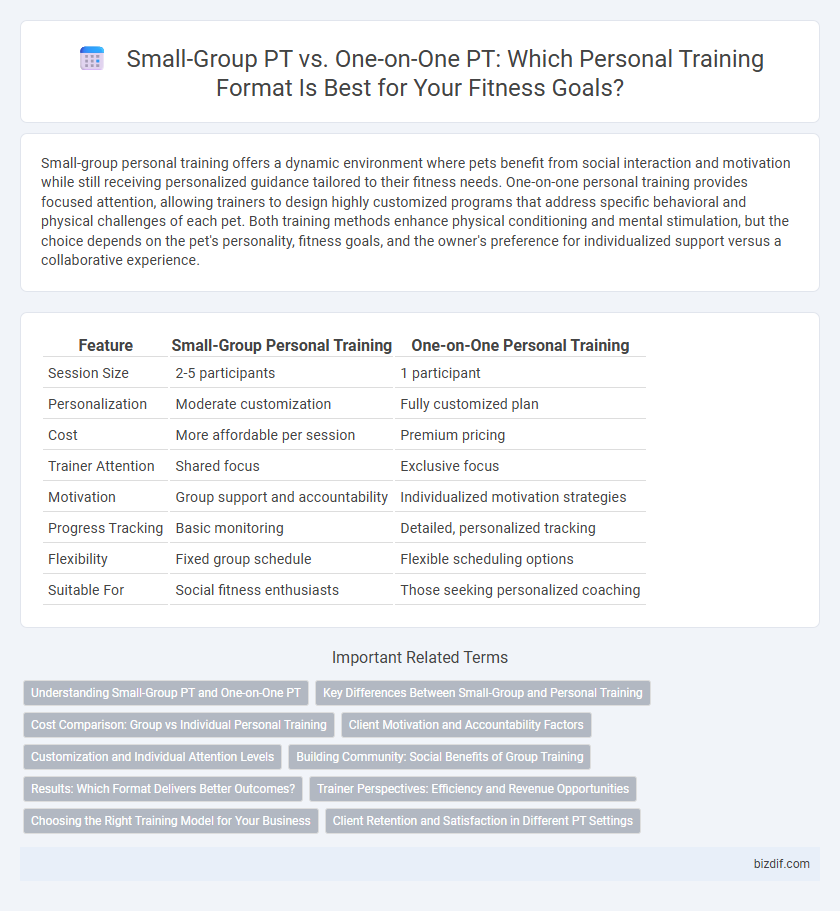 Small-Group PT vs. One-on-One PT: Which Personal Training Format Is Best for Your Fitness Goals?
