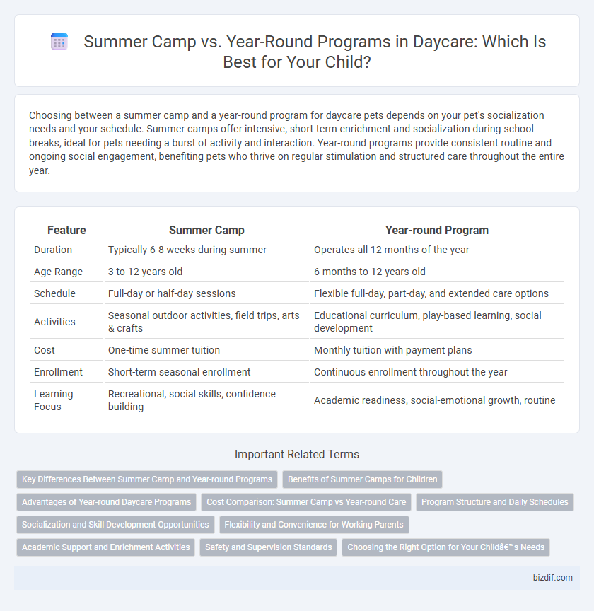 Summer Camp vs. Year-Round Programs in Daycare: Which Is Best for Your Child?
