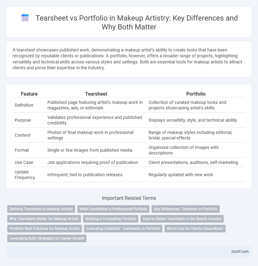 Tearsheet vs Portfolio in Makeup Artistry: Key Differences and Why Both Matter