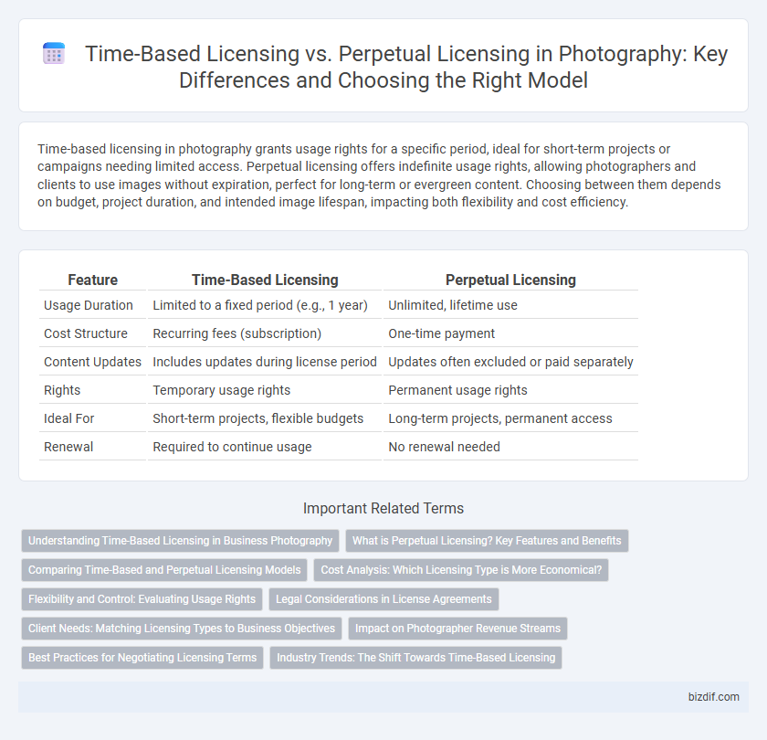 Time-Based Licensing vs. Perpetual Licensing in Photography: Key Differences and Choosing the Right Model