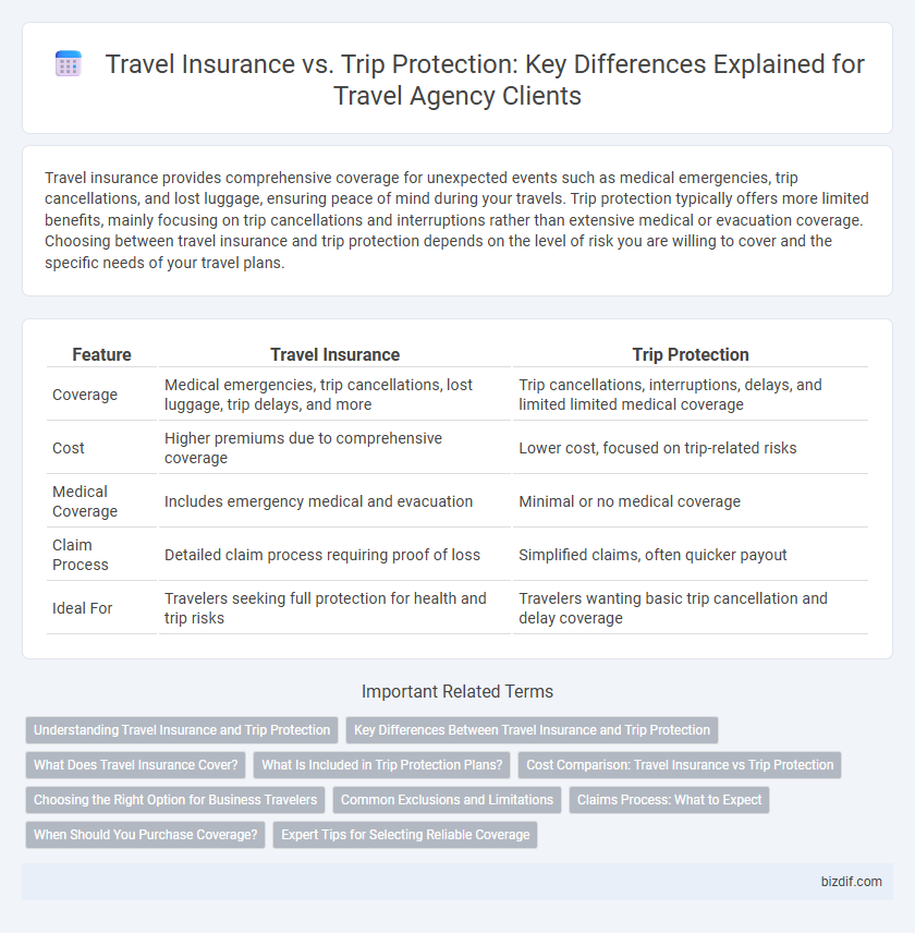 Travel Insurance vs. Trip Protection: Key Differences Explained for Travel Agency Clients
