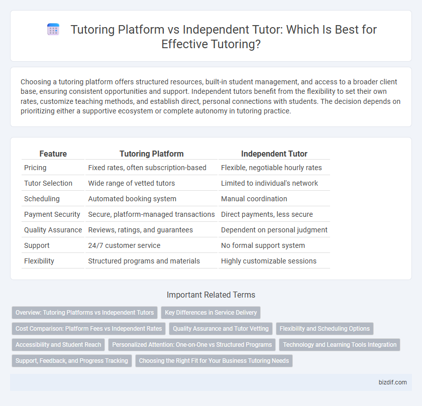 Tutoring Platform vs Independent Tutor: Which Is Best for Effective Tutoring?