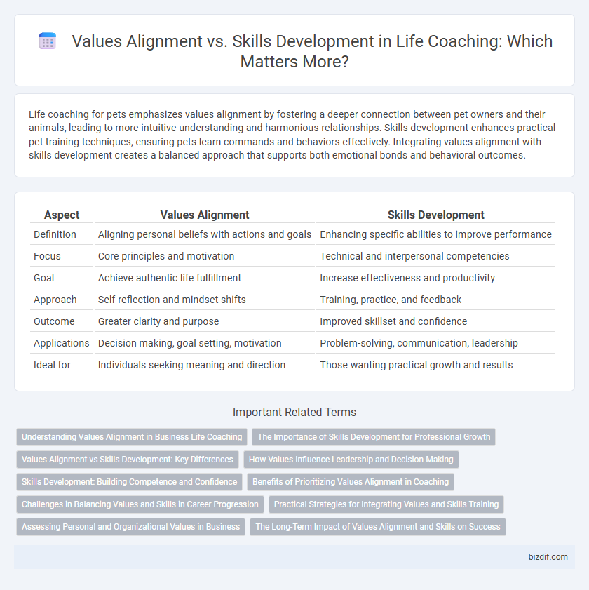 Values Alignment vs. Skills Development in Life Coaching: Which Matters More?