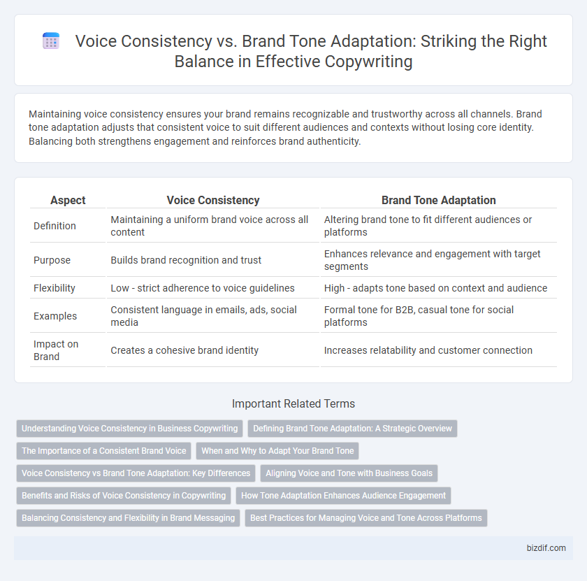 Voice Consistency vs. Brand Tone Adaptation: Striking the Right Balance in Effective Copywriting
