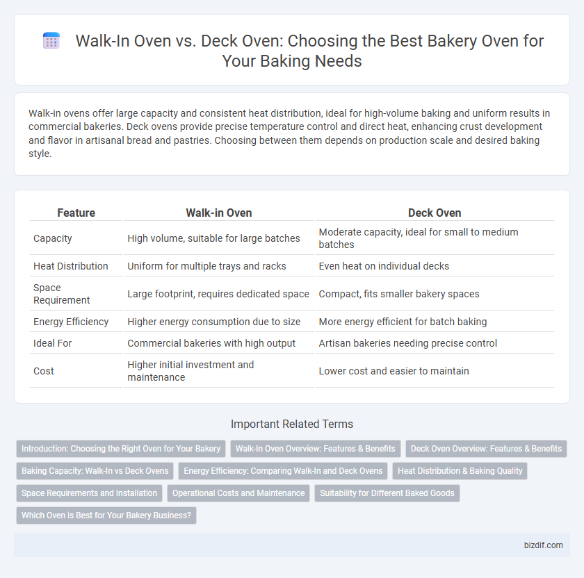 Walk-In Oven vs. Deck Oven: Choosing the Best Bakery Oven for Your Baking Needs