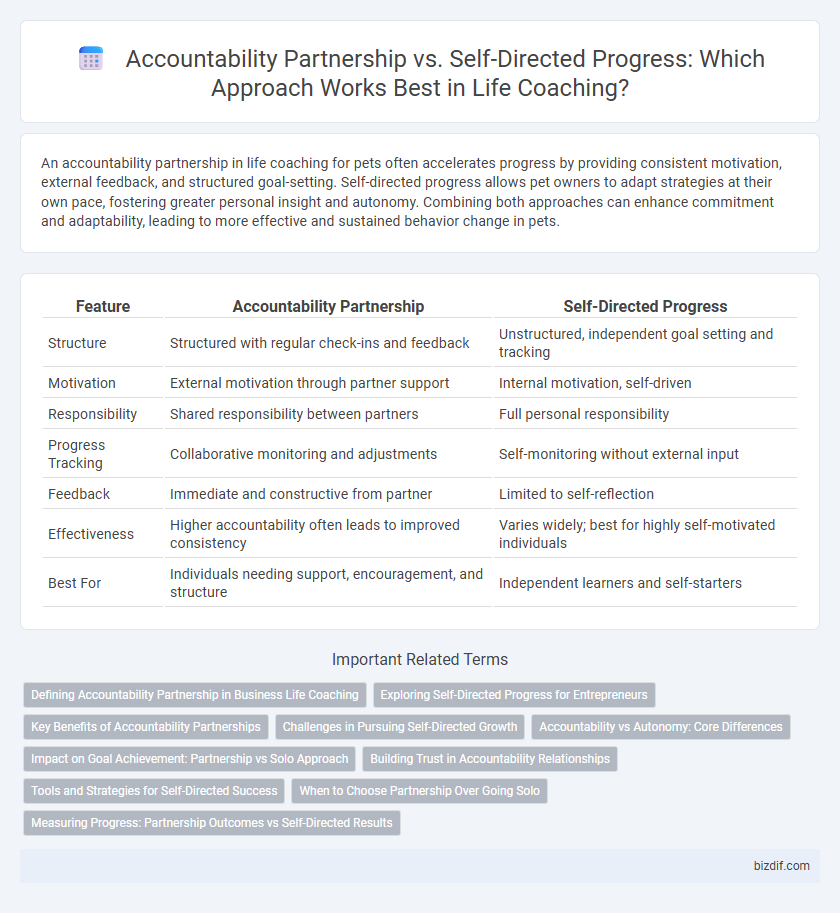 Accountability Partnership vs. Self-Directed Progress: Which Approach Works Best in Life Coaching?