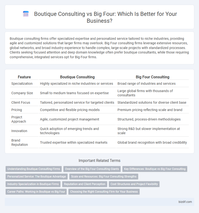 Boutique Consulting vs Big Four: Which Is Better for Your Business?