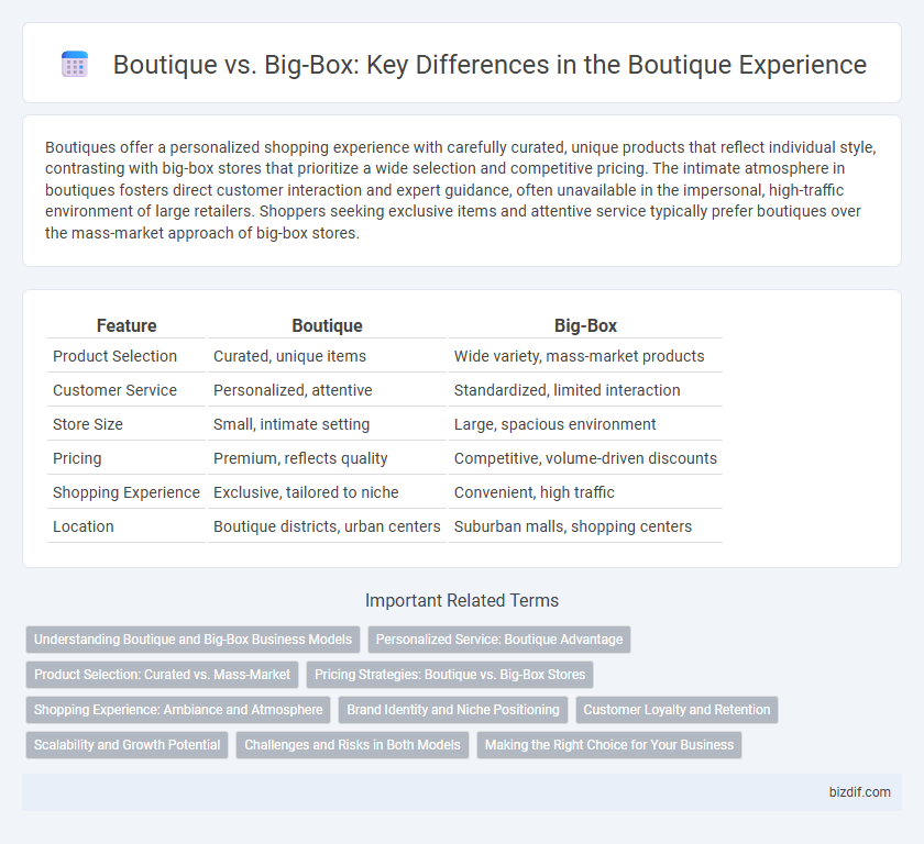 Boutique vs. Big-Box: Key Differences in the Boutique Experience